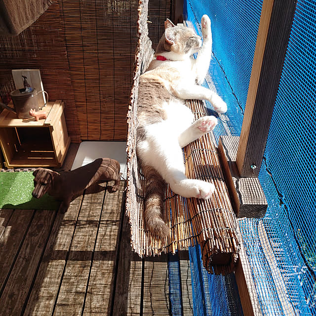 fukuさんの実例写真
