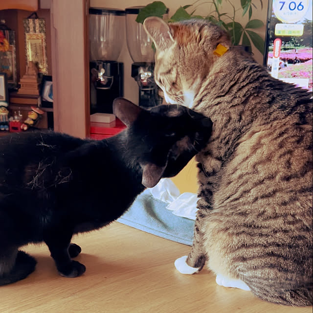 suemonta14さんの部屋