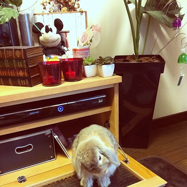 rs.lgpさんの実例写真