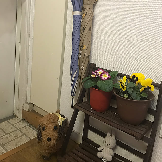 sakuramiffyさんの実例写真