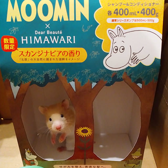 ym3さんの実例写真