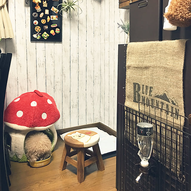 ronmaruさんの実例写真