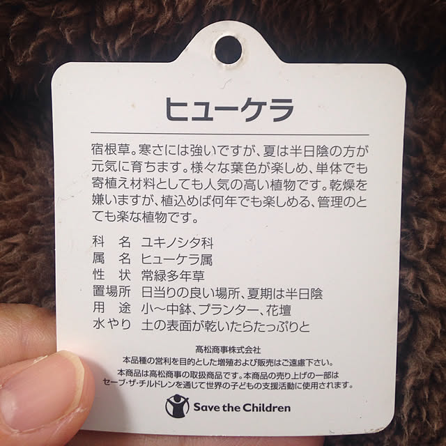 Akikoさんの実例写真
