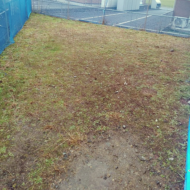 chikaさんの実例写真