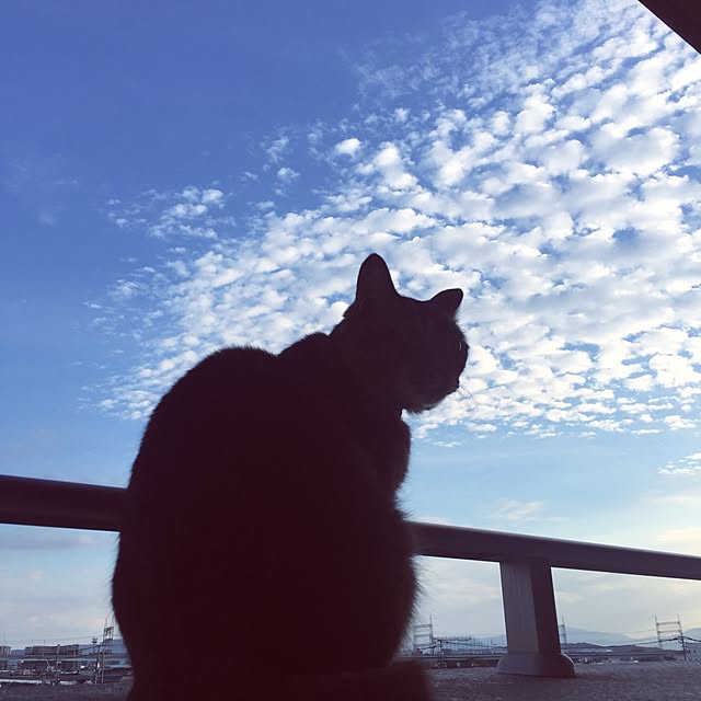 midumamaさんの実例写真