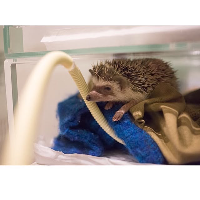 ctaさんの実例写真