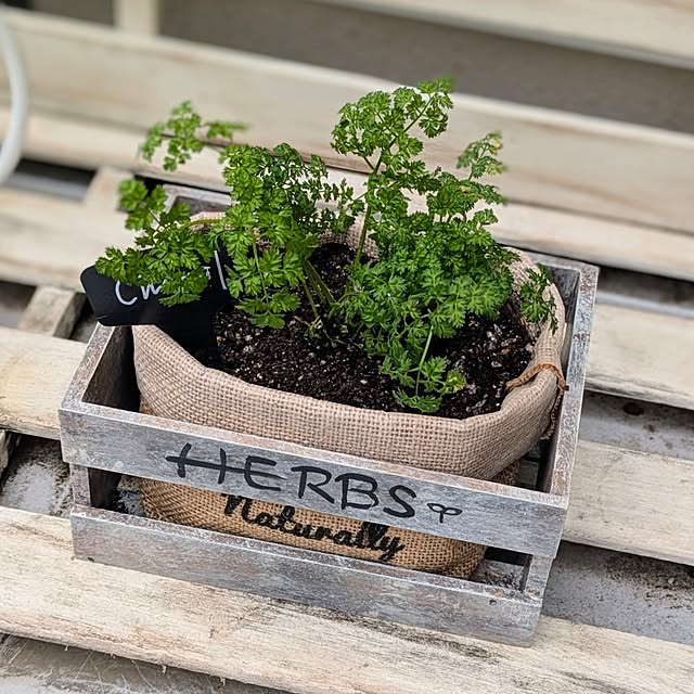 purpureさんの部屋