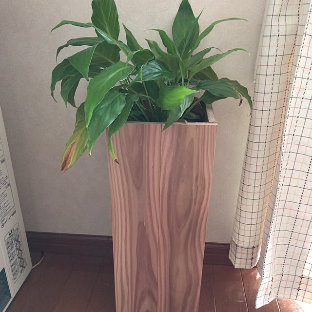 実例写真