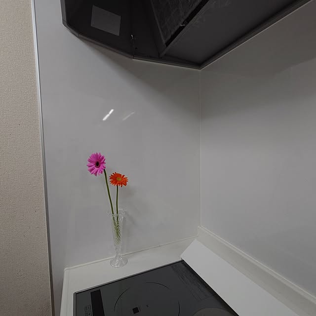noguriさんの部屋