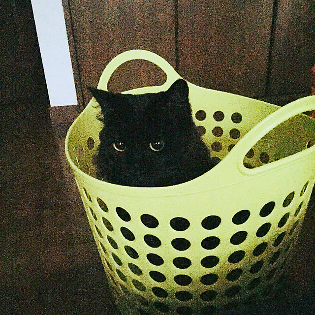 nakachanさんの実例写真