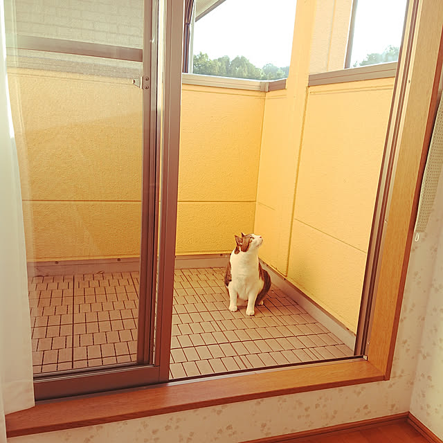 nachiさんの実例写真