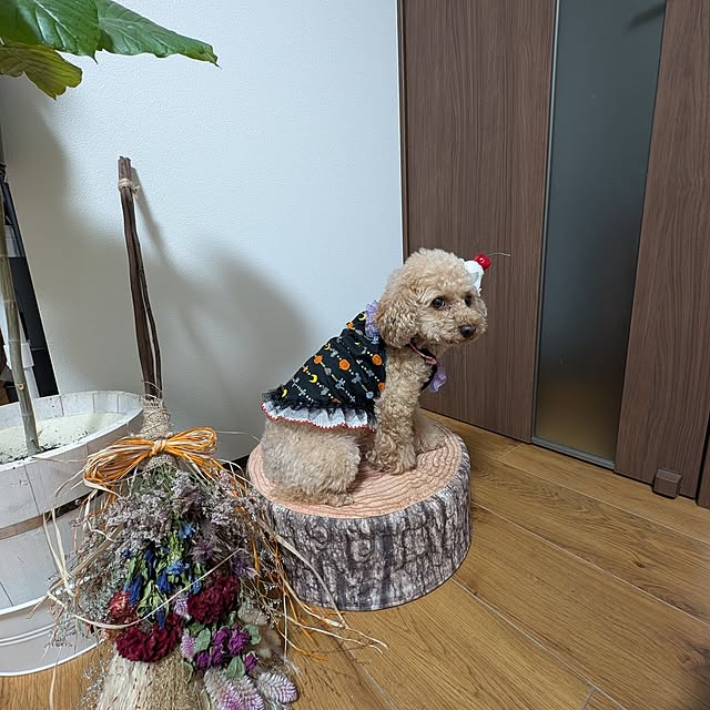 milk_hana_さんの部屋