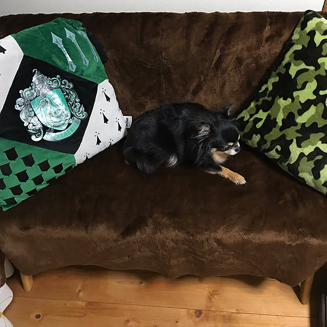 Chipさんの実例写真