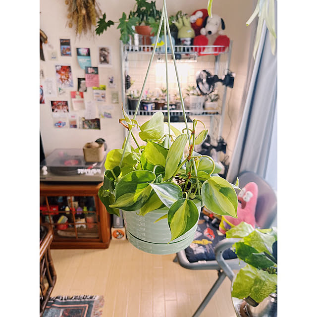 w_end_0625さんの実例写真