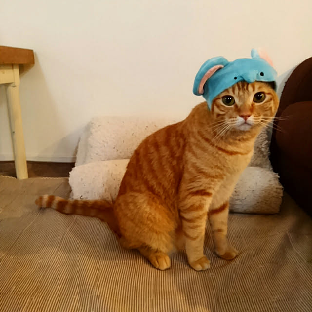 mayutan.さんの実例写真