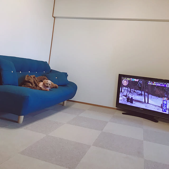 lolponpokoさんの実例写真