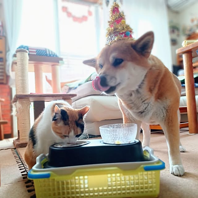 nanaさんの部屋