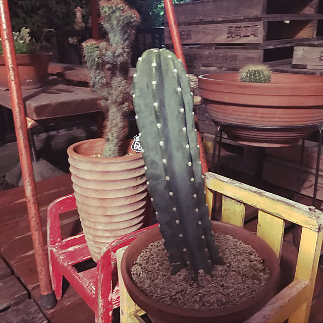 実例写真