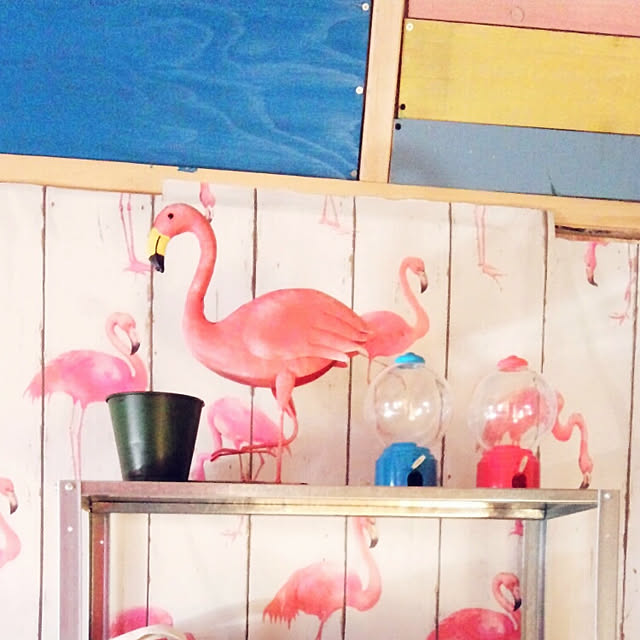 rainbowdropsさんの実例写真