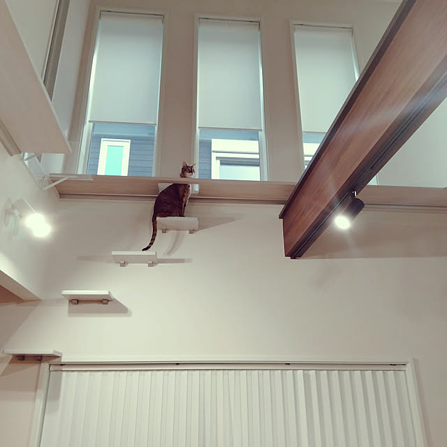 sorakoさんの実例写真