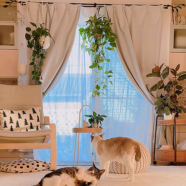 milkcocoaさんの部屋