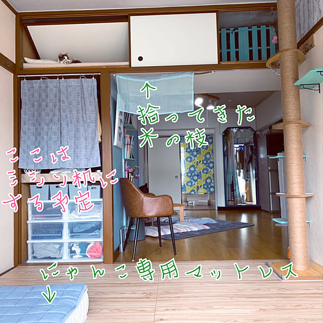 saoさんの実例写真