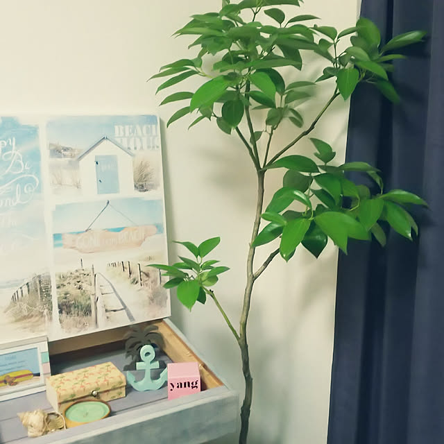sata0228さんの実例写真