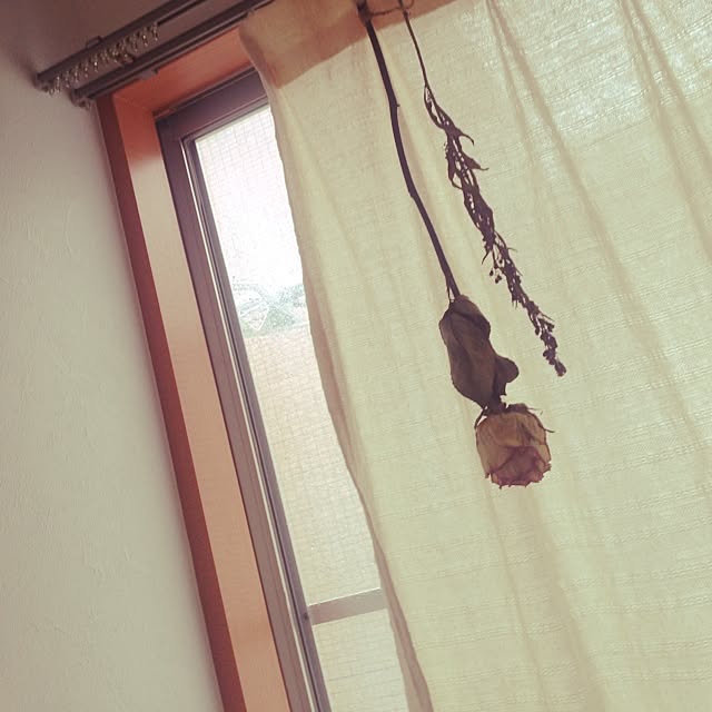 Emiさんの実例写真