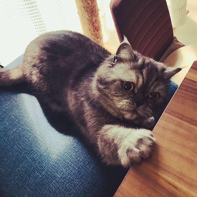 Marinさんの実例写真