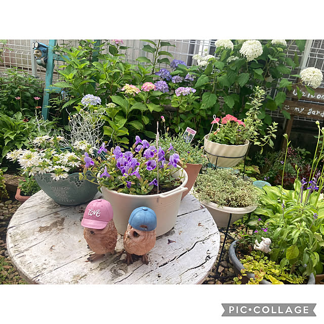CoCo0617さんの実例写真