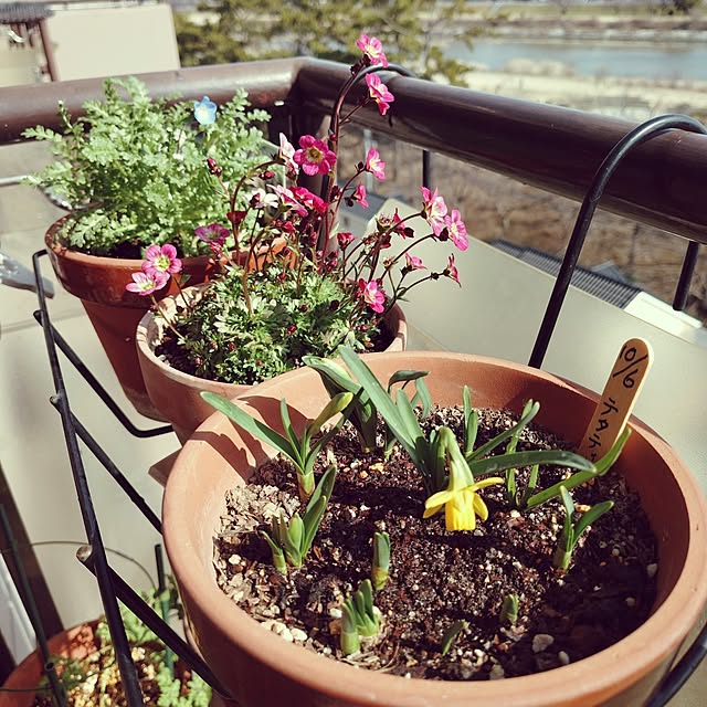 hopkeiさんの実例写真