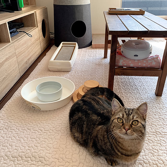 maaさんの実例写真