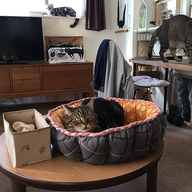 mikomaruさんの実例写真
