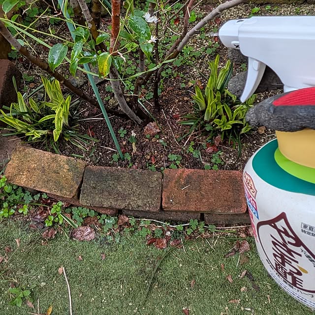 Bienvenueさんの実例写真