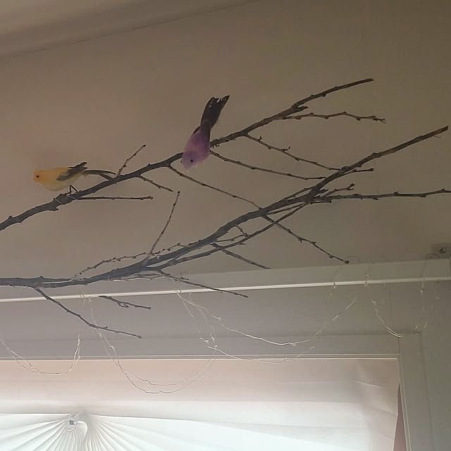 mikoさんの部屋