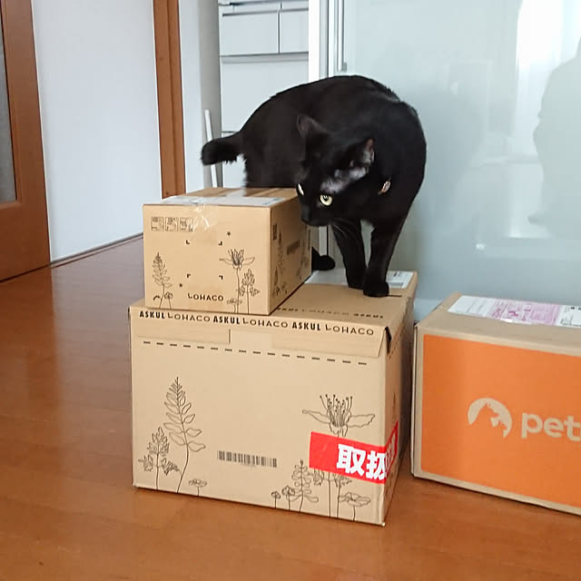 maikyさんの実例写真