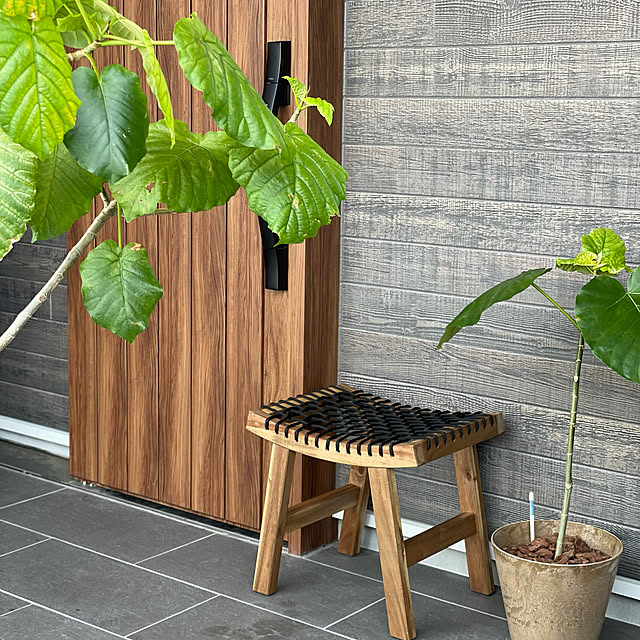 IKEA/玄関ドア/吹き抜けのある家/ウンベラータ/観葉植物...などのインテリア実例 - 2021-05-25 21:41:16