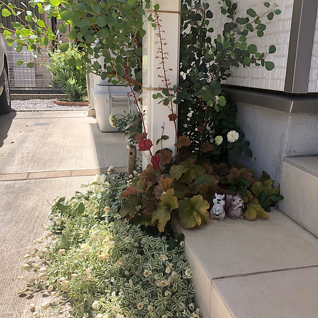 yuyuさんの部屋