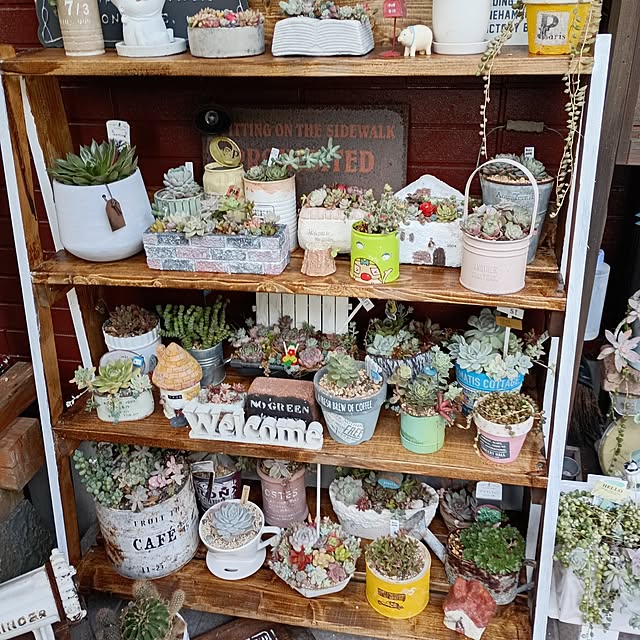 yasue.ichnoさんの実例写真