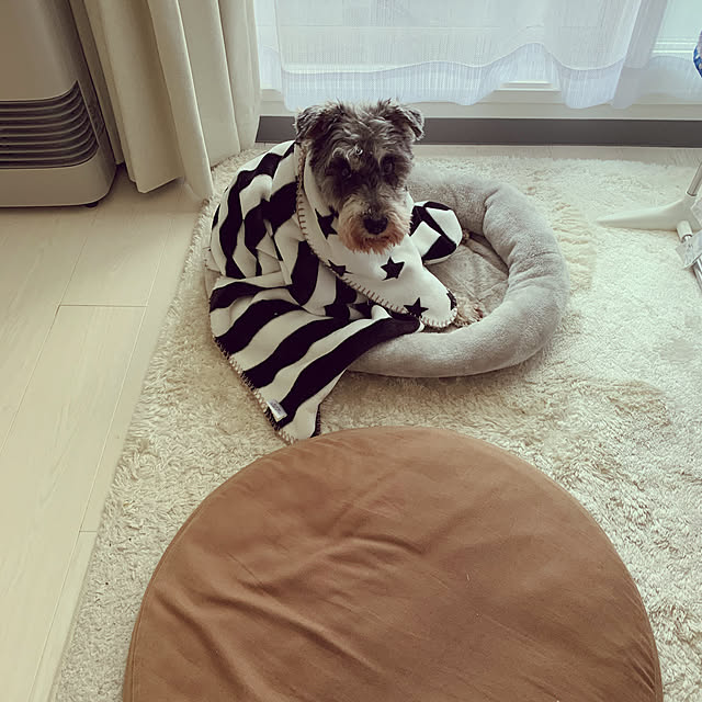 mukkuさんの実例写真