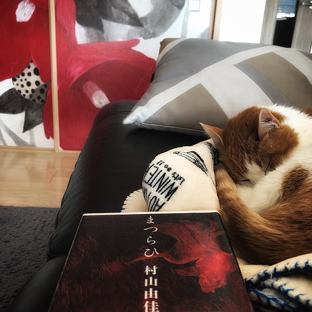 miruさんの実例写真