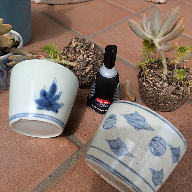 prepreさんの部屋