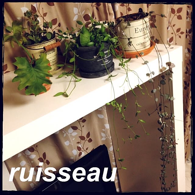 ruisseauさんの実例写真