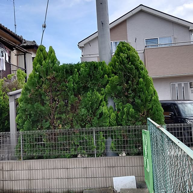 noguriさんの実例写真