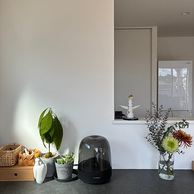 maaLさんの実例写真