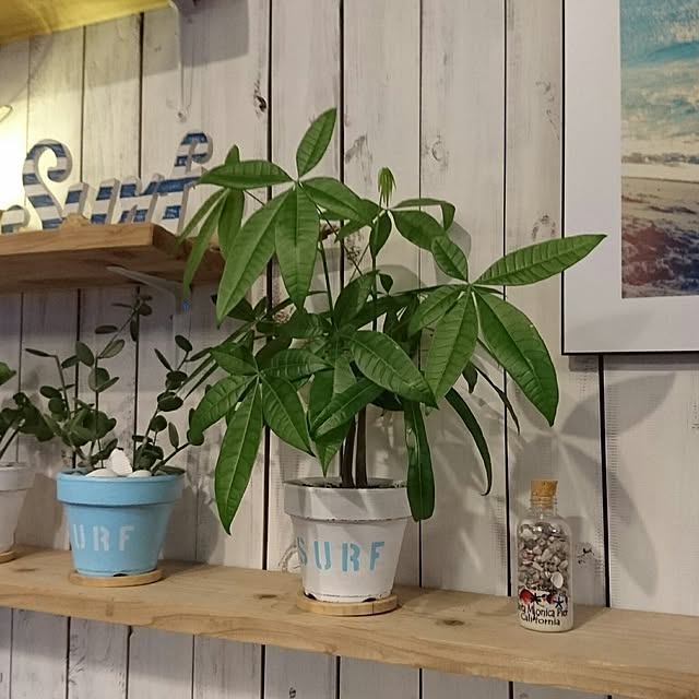 mykooさんの実例写真