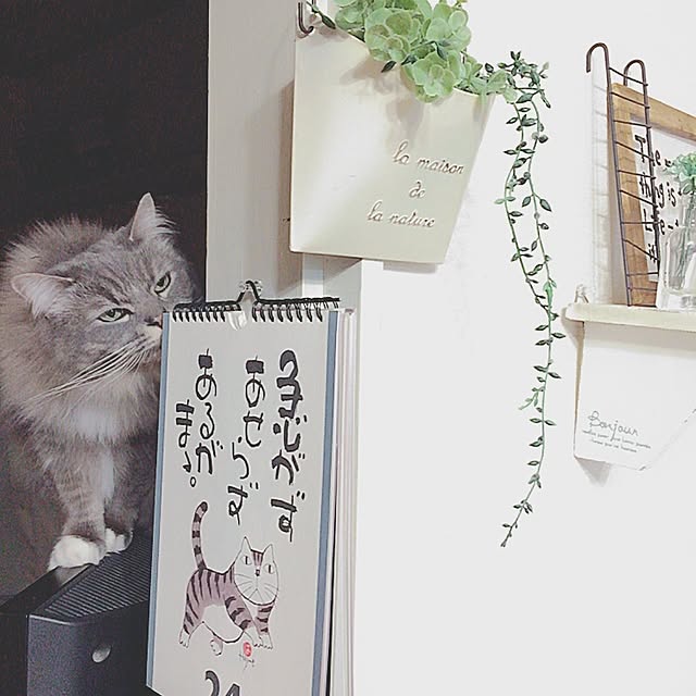 mii-tanさんの実例写真