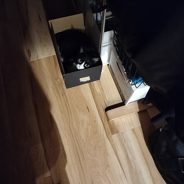 hihaさんの実例写真