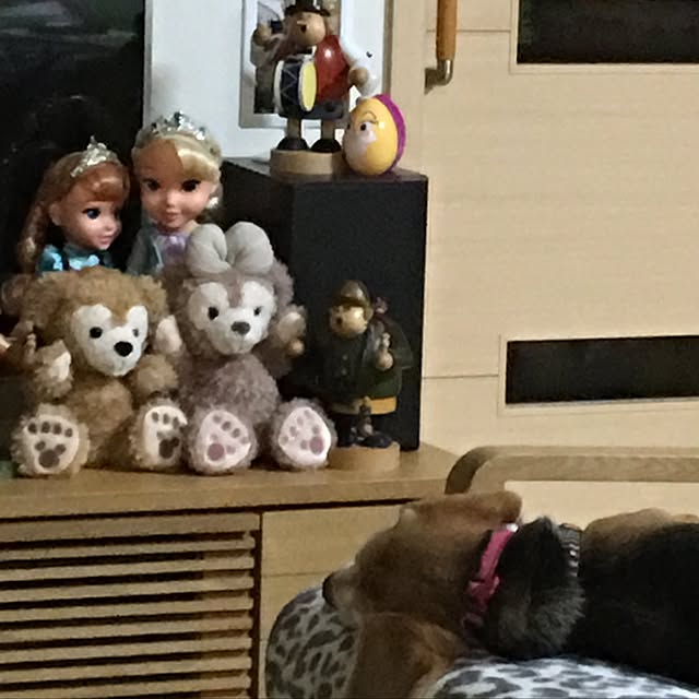 hiyoriさんの実例写真