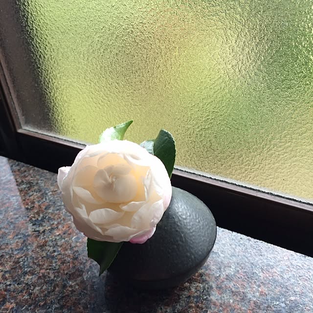 scabiosa1982さんの実例写真